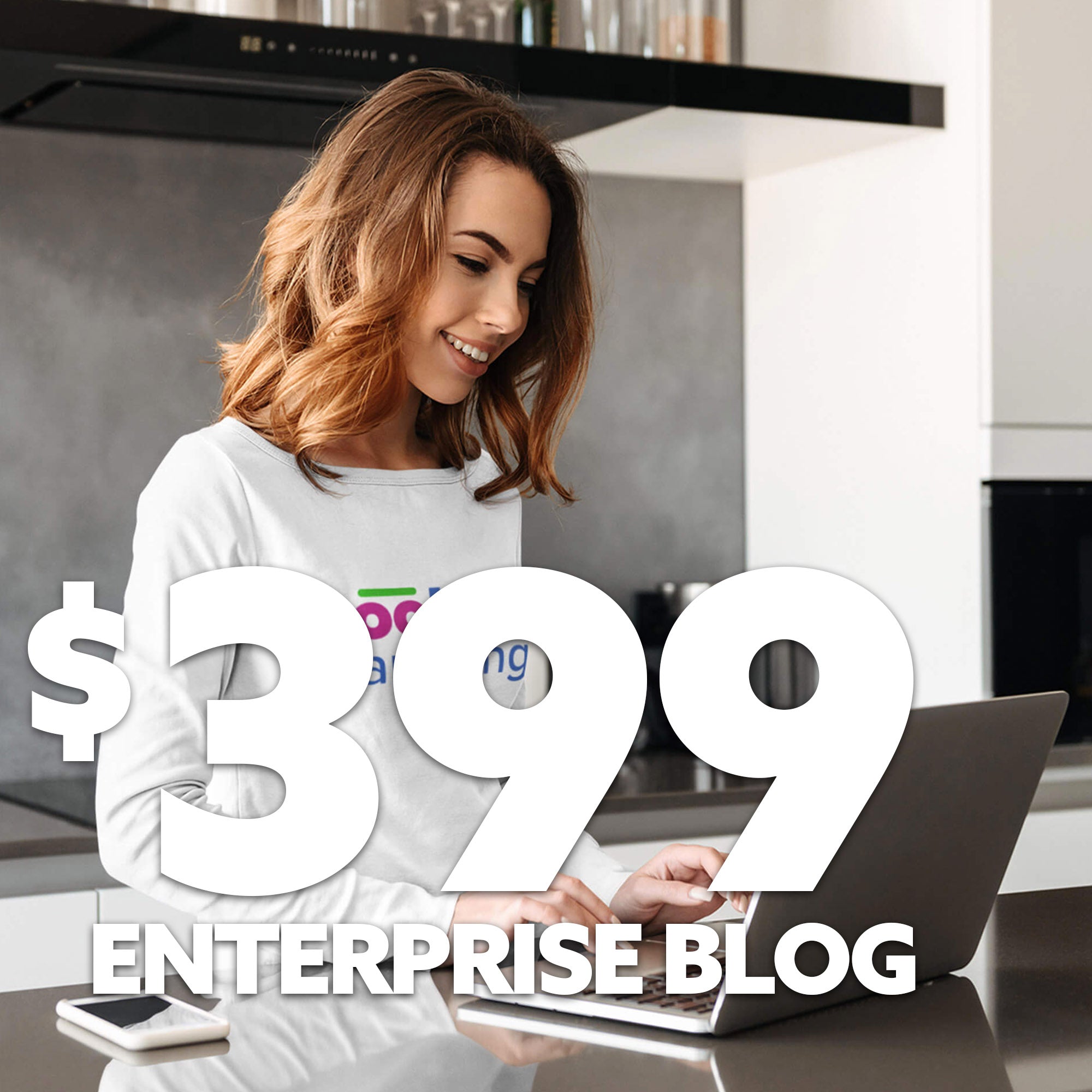 $399 Enterprise Blog Plan