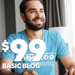 $99 Basic Blog Plan