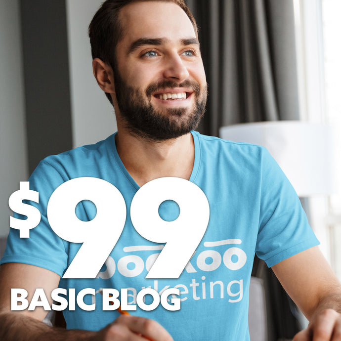 $99 Basic Blog Plan